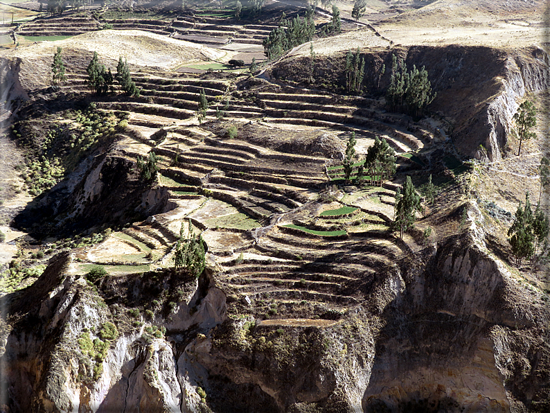 foto Canyon del Colca